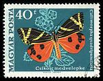 Butterfly theme stamps
