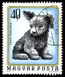 Dogs on cyberstamps