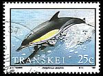 A sea of dolphin stamps