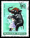 CIRCUS ANIMALS ON STAMPS