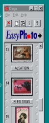 EasyPhoto 2.7