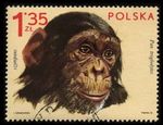 Virtuall Stamp Monkey Business